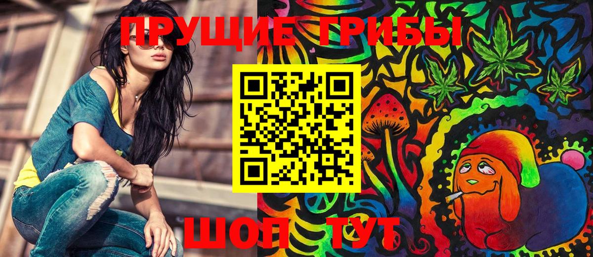 Гагарин  Псилоцибиновые грибы мицелий  Псилоцибиновые грибы Psilocybe  Вход с VPN 