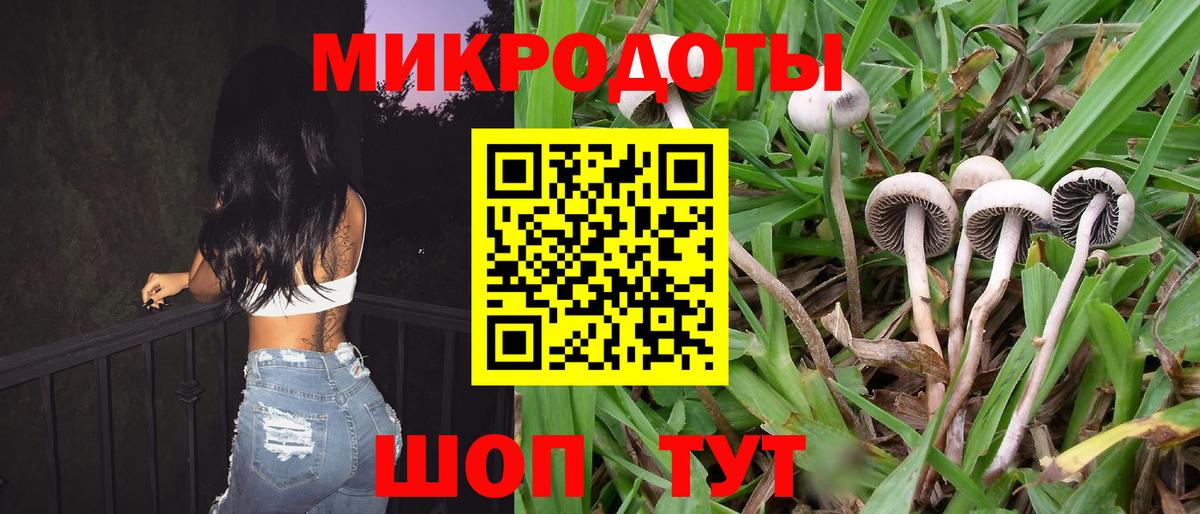 Псилоцибиновые грибы ЛСД Гагарин